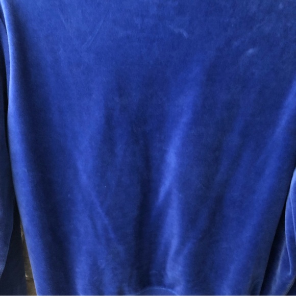 Plush and Lush | Blue Velvet Hoodie | Size Medium - Picture 6 of 7